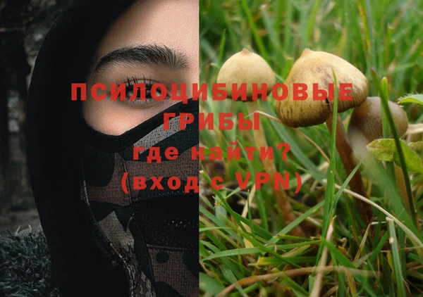 бошки Балахна