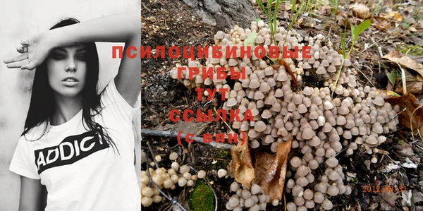 бошки Балахна