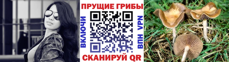Галлюциногенные грибы Magic Shrooms  сайты даркнета формула  Лакинск  магазин  наркотиков 